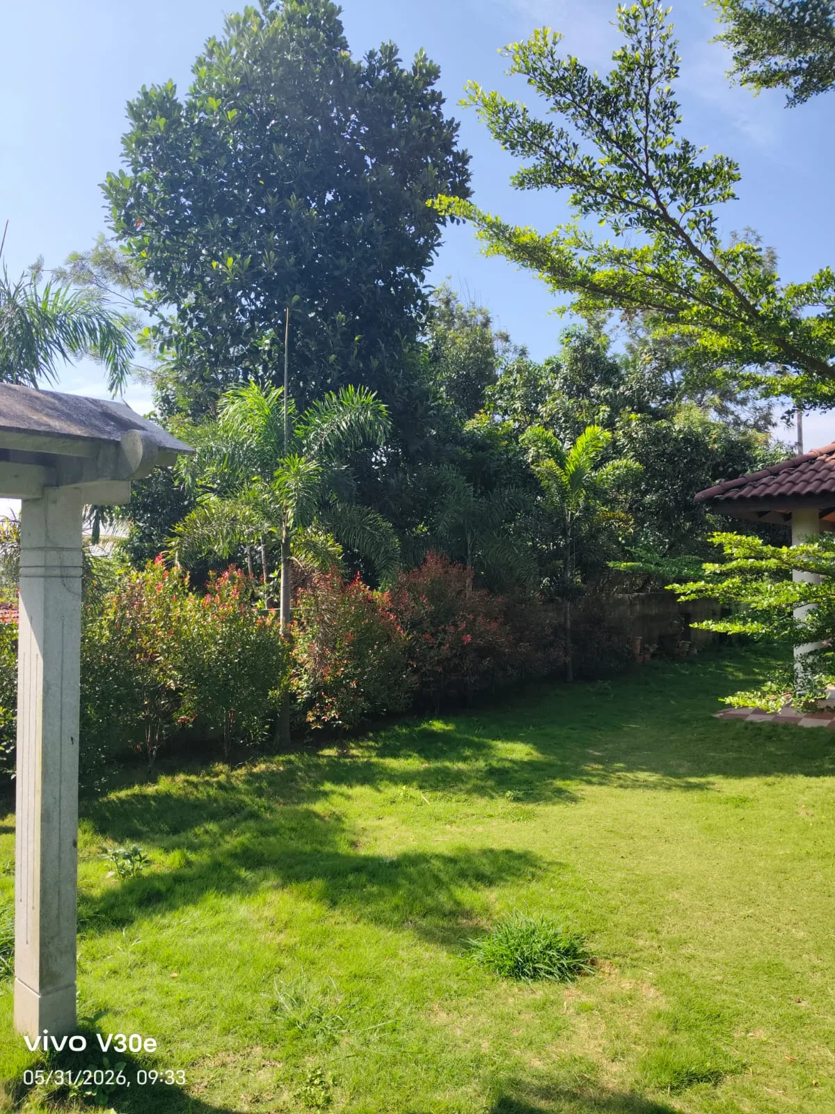 Garden view