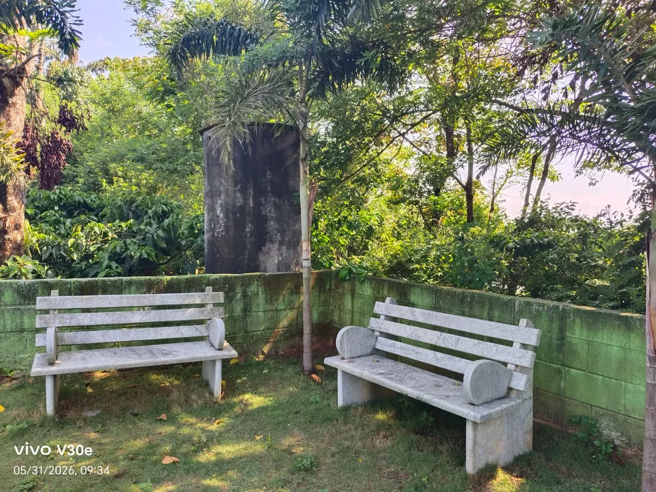 Sit-out view